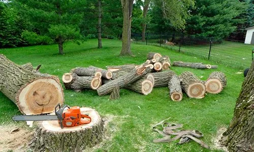 Custom yard maintenance in Riesel, TX - G Maya Tree Service & Landscaping