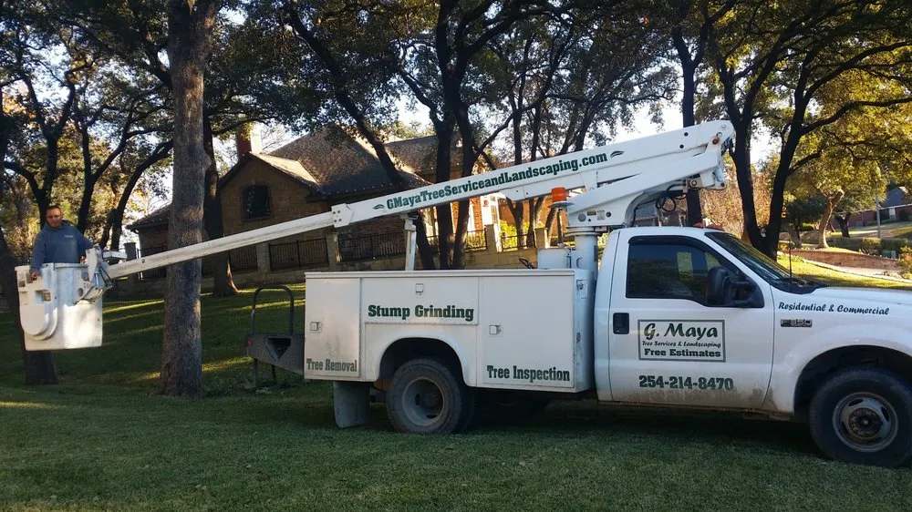 Top-rated landscaping services near you in Riesel, TX by G Maya Tree Service & Landscaping