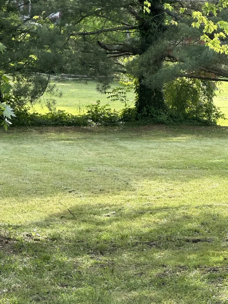 Custom residential landscaping for residential properties in Dublin, VA by G-N-G Lawn Care