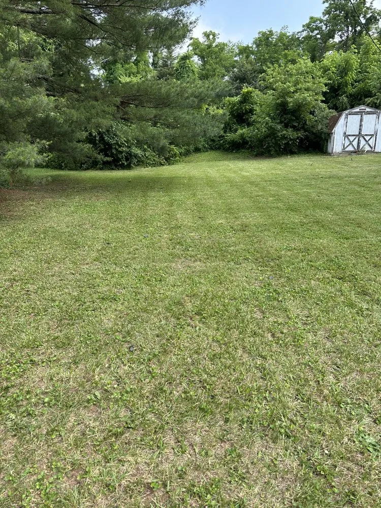 Top-rated outdoor landscaping in Dublin, VA by G-N-G Lawn Care