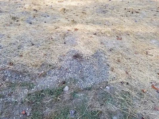 G P Call and Sons Logo