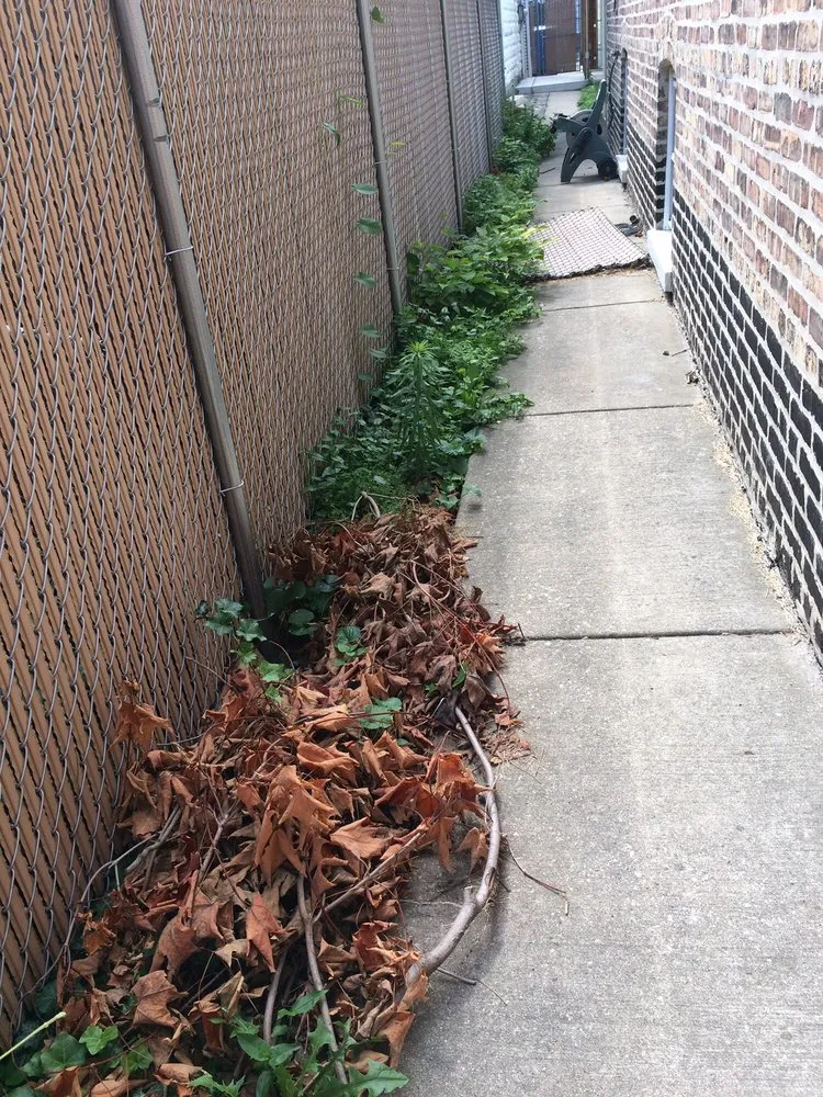 Local landscape design experts serving Des Plaines, IL - G. Ramirez Landscaping