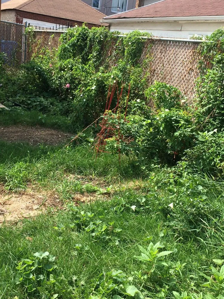 Top-rated garden landscaping in Des Plaines, IL by G. Ramirez Landscaping