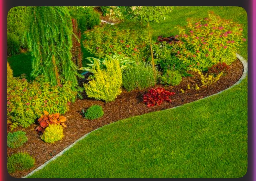 Trusted yard maintenance near you in Corvallis, OR by G Ramos Handyman