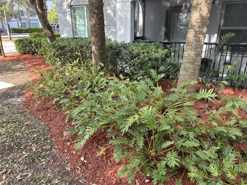 Top-rated lawn mowing service in Davie, FL - G Rated Property Maintenance & Landscaping