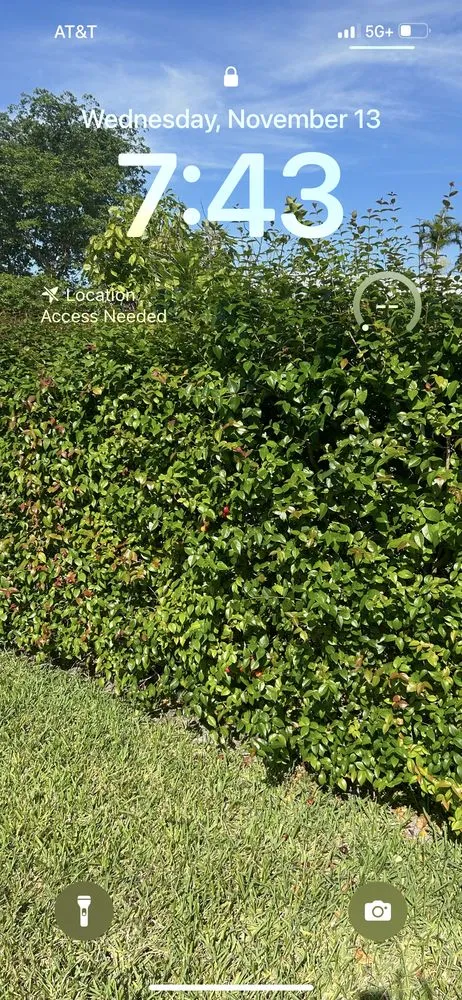 Expert landscape design for outdoor upgrades in Davie, FL by G Rated Property Maintenance & Landscaping