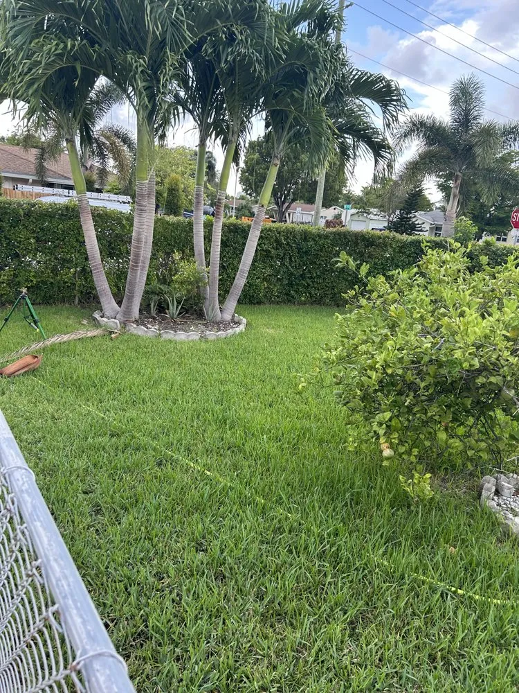 Reliable landscape design experts serving Davie, FL - G Rated Property Maintenance & Landscaping