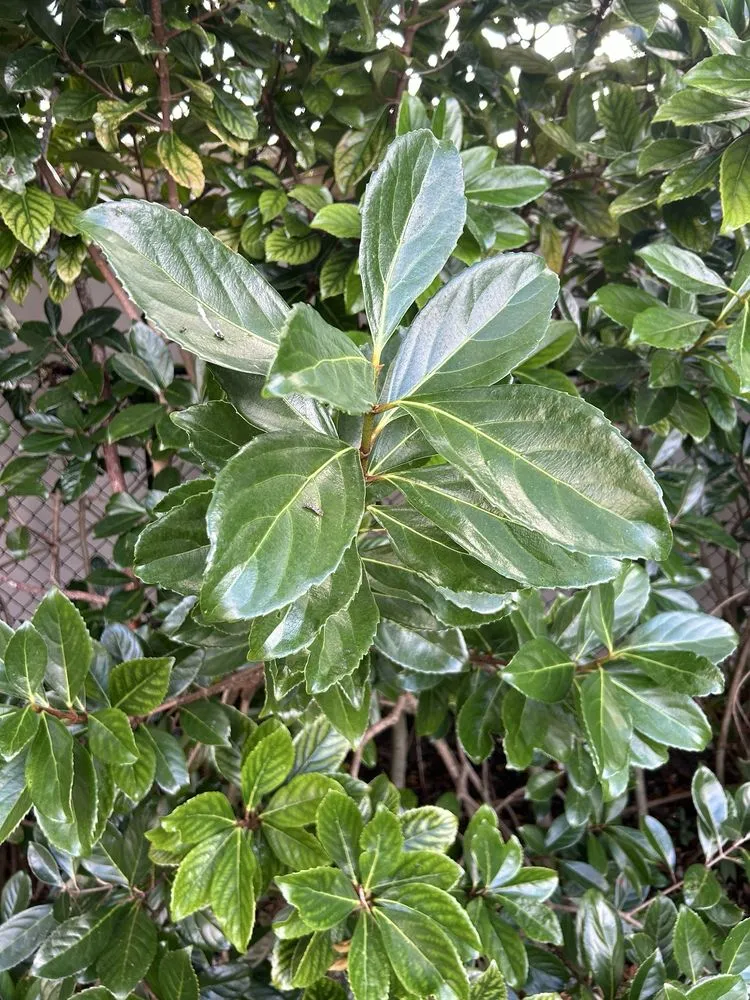 Trusted outdoor landscaping in Davie, FL - G Rated Property Maintenance & Landscaping