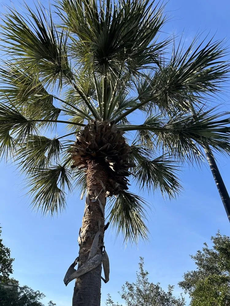 Top-rated lawn care service for residential properties in Davie, FL by G Rated Property Maintenance & Landscaping