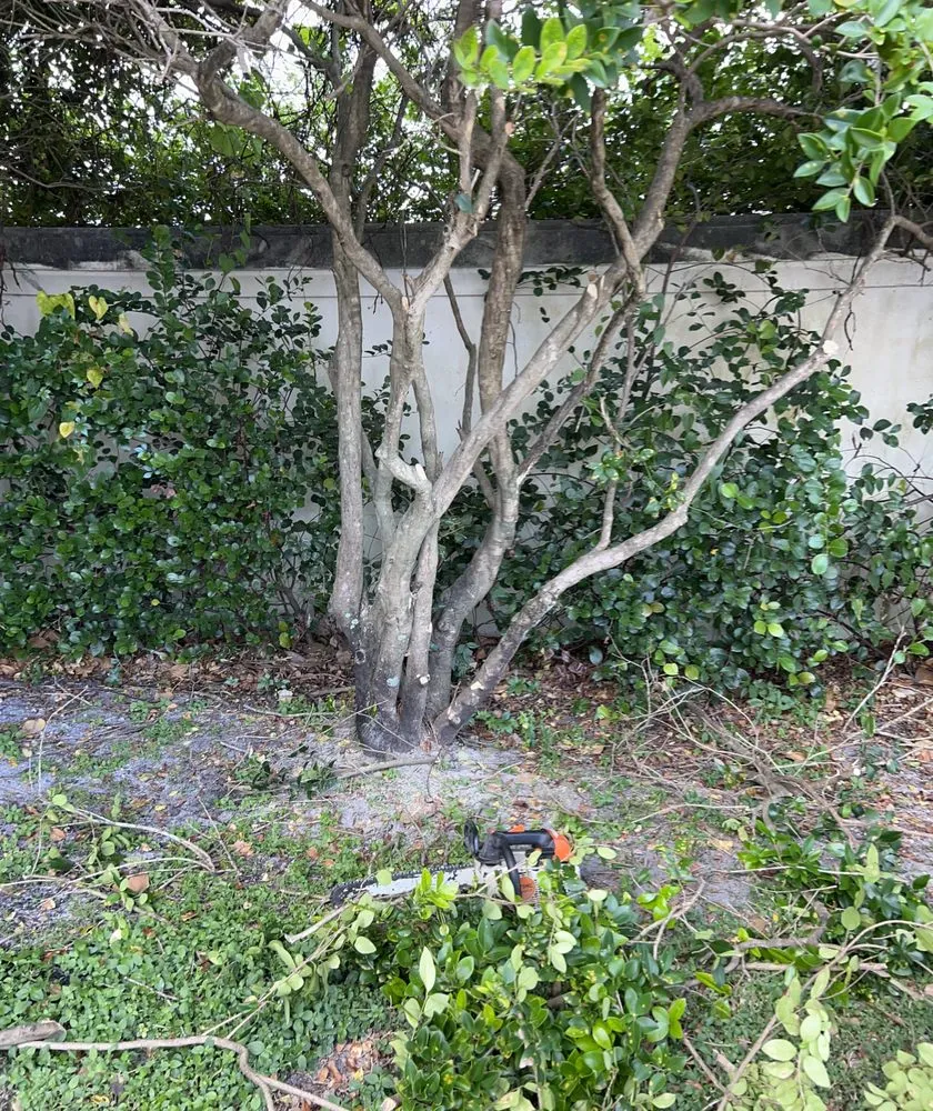 Local residential landscaping for outdoor upgrades in Davie, FL by G Rated Property Maintenance & Landscaping