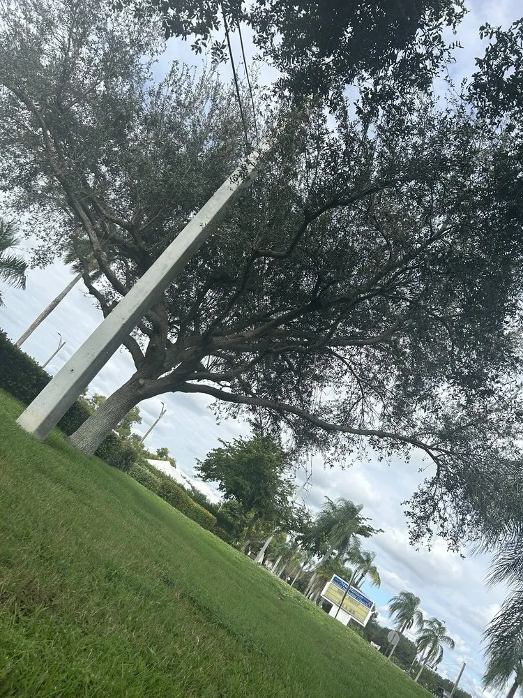 Professional residential landscaping with custom design in Davie, FL by G Rated Property Maintenance & Landscaping