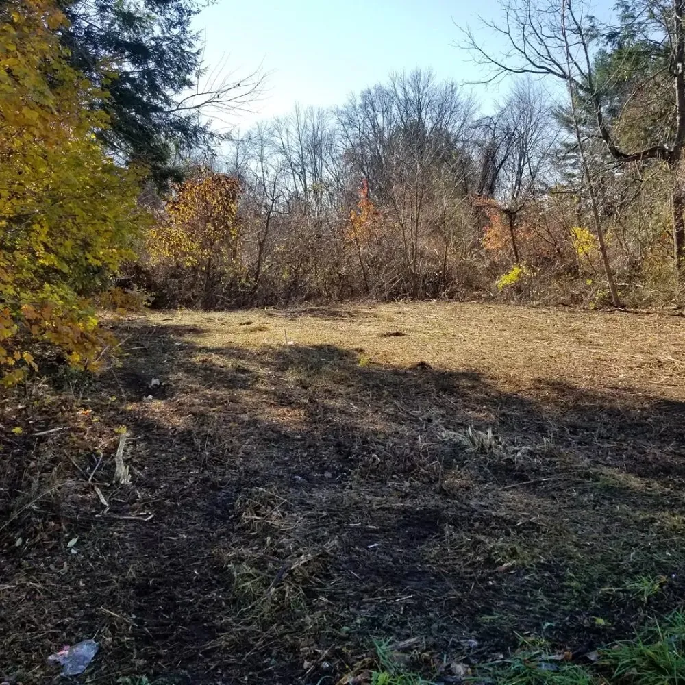 Custom outdoor landscaping with custom design across Ellington, CT - G Rocks