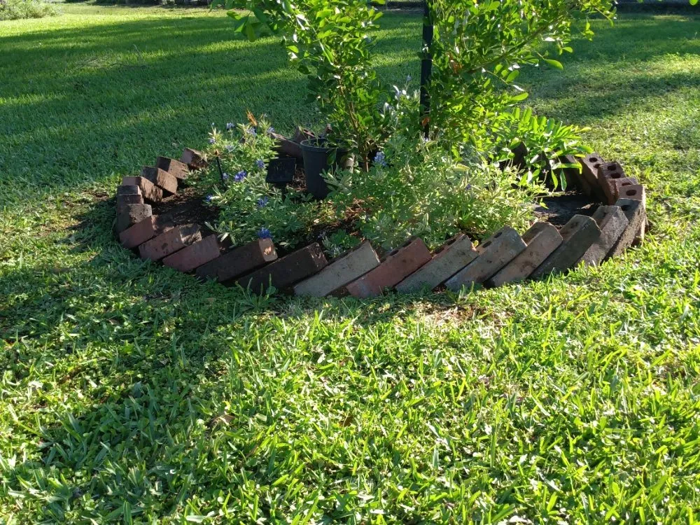 Local landscape installation for year-round maintenance in Fresno, TX by G S Landscaping