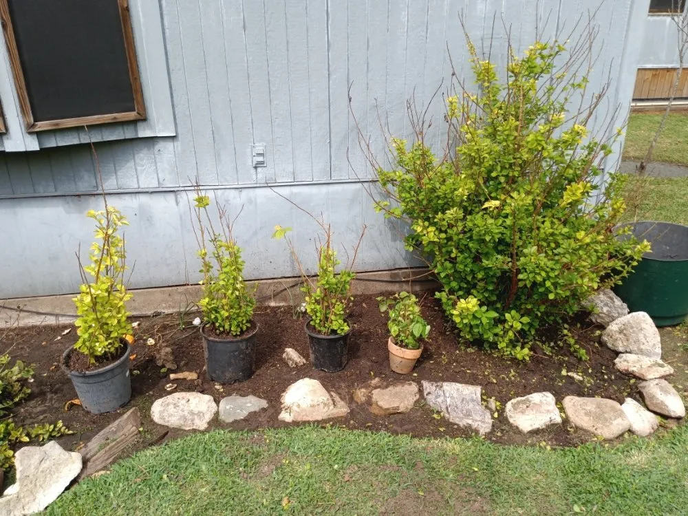 Top-rated yard maintenance with custom design in Fresno, TX by G S Landscaping