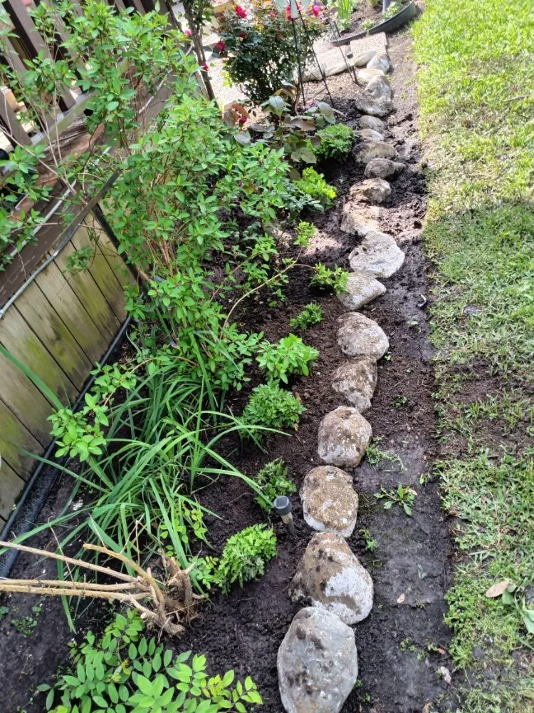 Affordable landscape installation for year-round maintenance in Fresno, TX by G S Landscaping