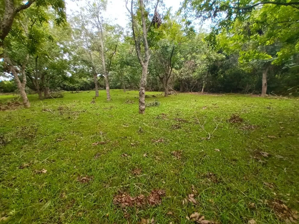 Top-rated garden landscaping in Fresno, TX by G S Landscaping