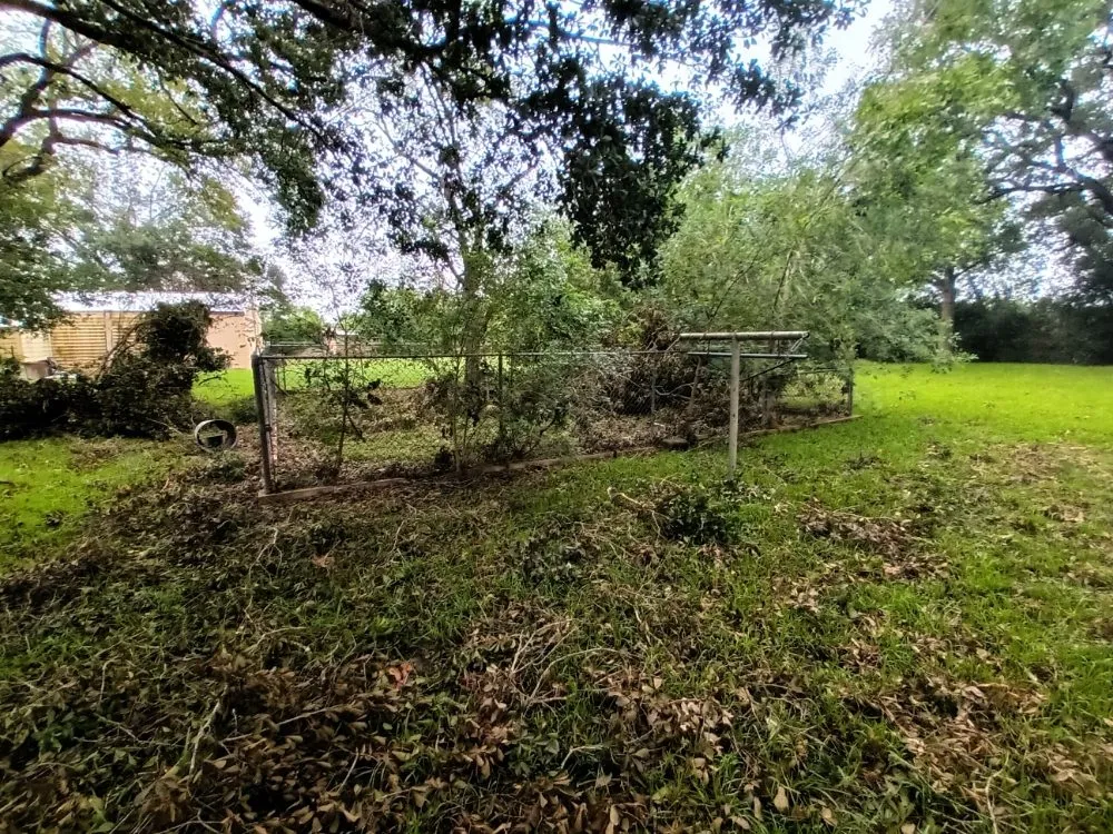 Expert yard maintenance near you across Fresno, TX - G S Landscaping