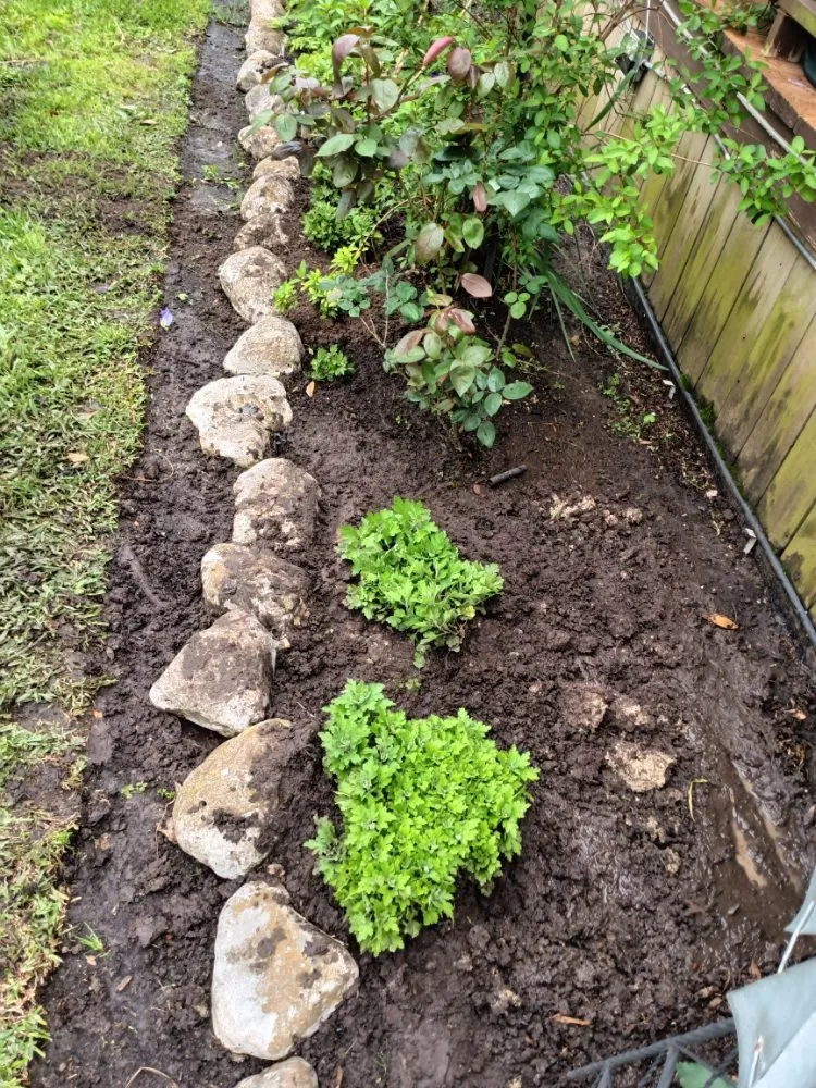 Expert outdoor landscaping for beautiful yards across Fresno, TX - G S Landscaping