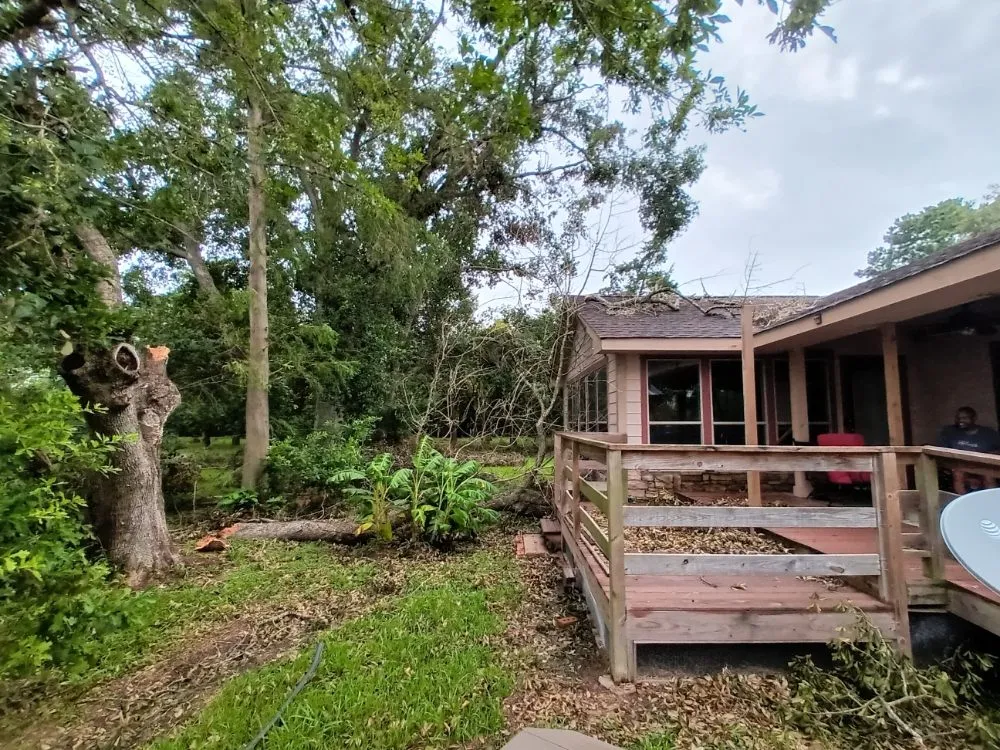 Expert lawn care service in Fresno, TX by G S Landscaping