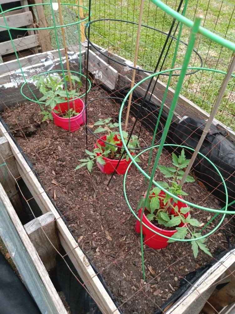 Top-rated residential landscaping for homes in Fresno, TX by G S Landscaping