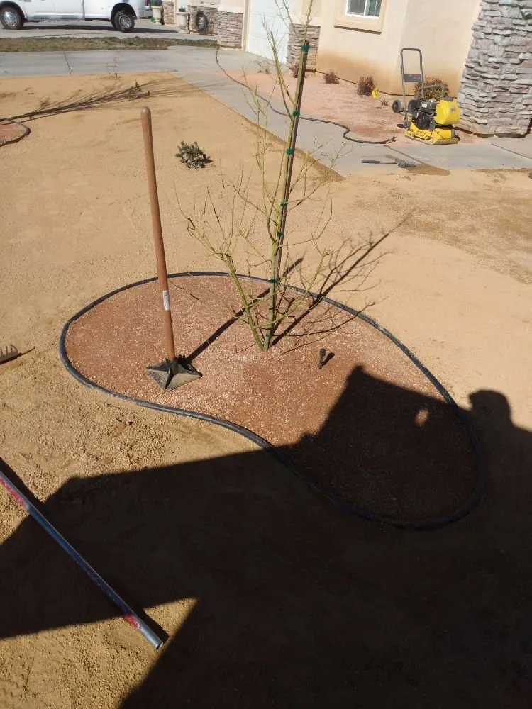 Reliable landscaping services in Littlerock, CA - G Salinas Landscaping and Tree Services