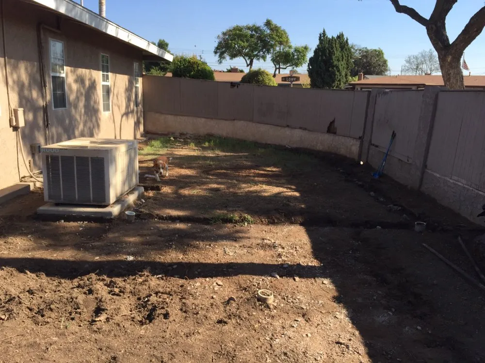 Local yard cleanup service experts serving Littlerock, CA - G Salinas Landscaping and Tree Services