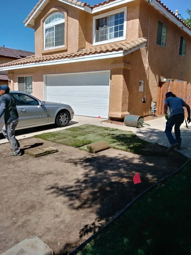 Top-rated yard maintenance for outdoor upgrades in Littlerock, CA by G Salinas Landscaping and Tree Services