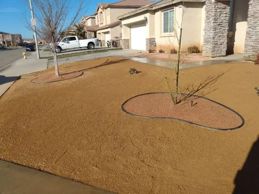 G Salinas Landscaping and Tree Services