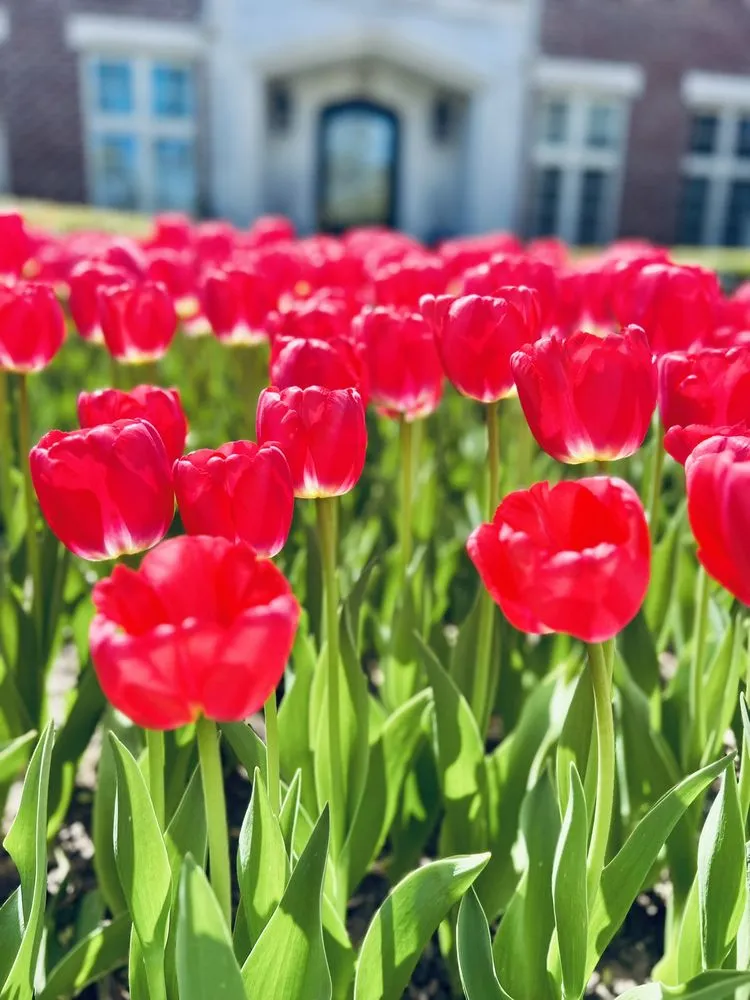 Professional lawn care service in Beach Park, IL by G T Landscaping