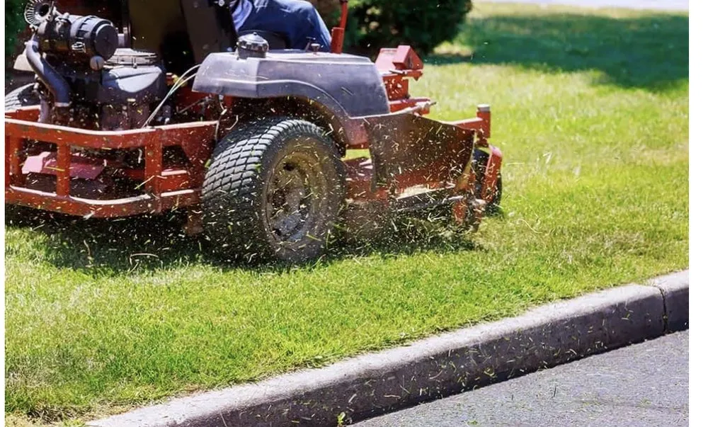 Trusted yard cleanup service for year-round maintenance in Joppatowne, MD by G T Lawn and Haul
