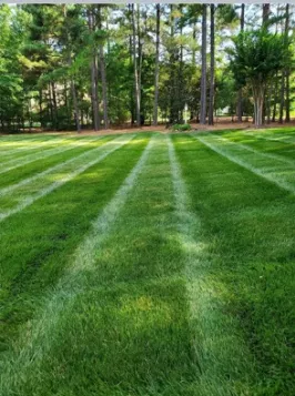 Top-rated yard maintenance in Joppatowne, MD by G T Lawn and Haul
