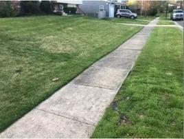 Trusted lawn care service for homes in Joppatowne, MD by G T Lawn and Haul