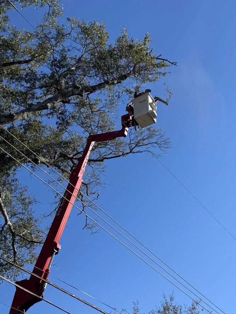 Expert landscape installation experts serving Savannah, GA - G Tree Service N Landscaping