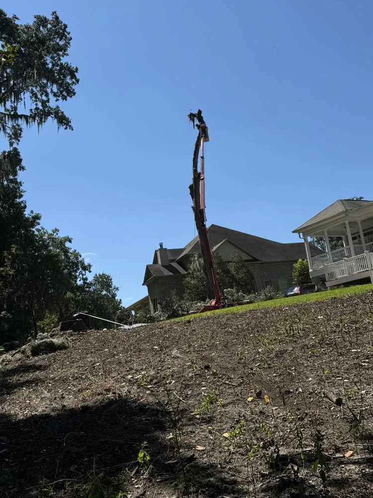 Professional yard maintenance for residential properties across Savannah, GA - G Tree Service N Landscaping