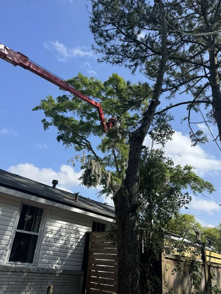 Reliable landscape installation in Savannah, GA by G Tree Service N Landscaping