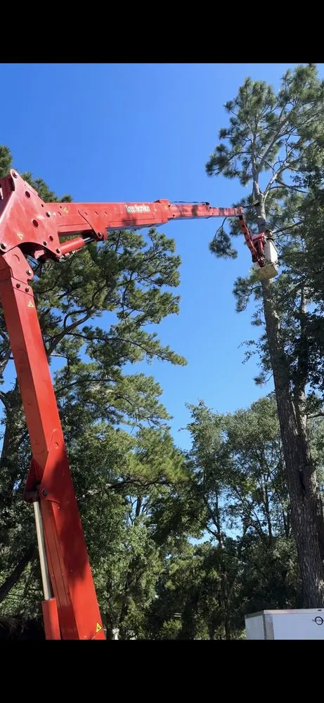 Trusted lawn care service experts serving Savannah, GA - G Tree Service N Landscaping