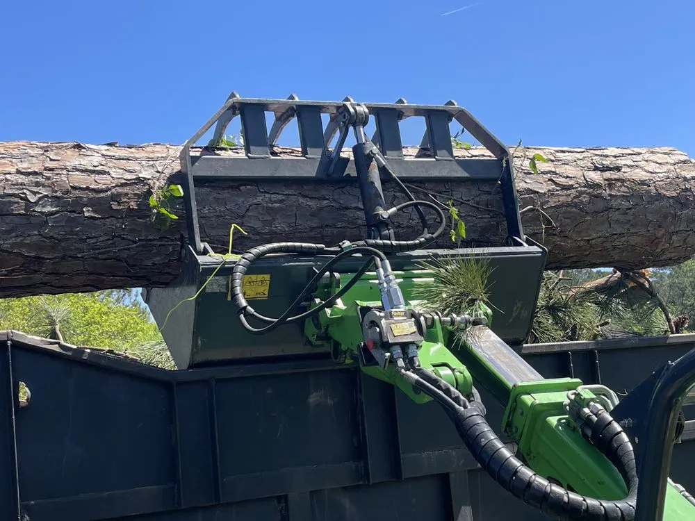 Professional yard cleanup service for residential properties across Savannah, GA - G Tree Service N Landscaping
