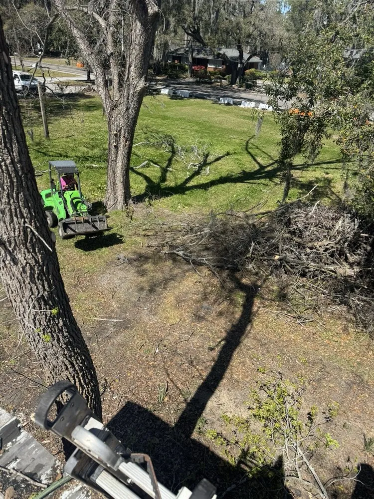 Reliable lawn mowing service experts serving Savannah, GA - G Tree Service N Landscaping