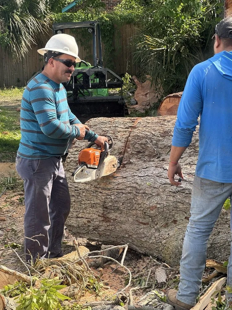 Reliable landscaping services in Savannah, GA - G Tree Service N Landscaping