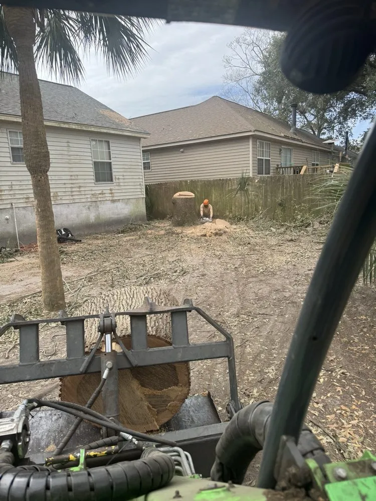 Professional landscape design in Savannah, GA by G Tree Service N Landscaping