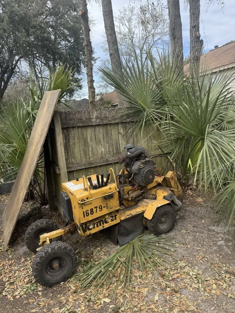 Reliable lawn mowing service experts serving Savannah, GA - G Tree Service N Landscaping