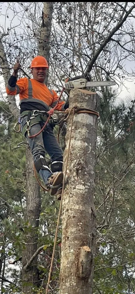 Professional residential landscaping with custom design in Savannah, GA by G Tree Service N Landscaping