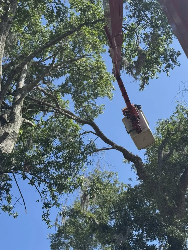 Reliable lawn mowing service in Savannah, GA by G Tree Service N Landscaping