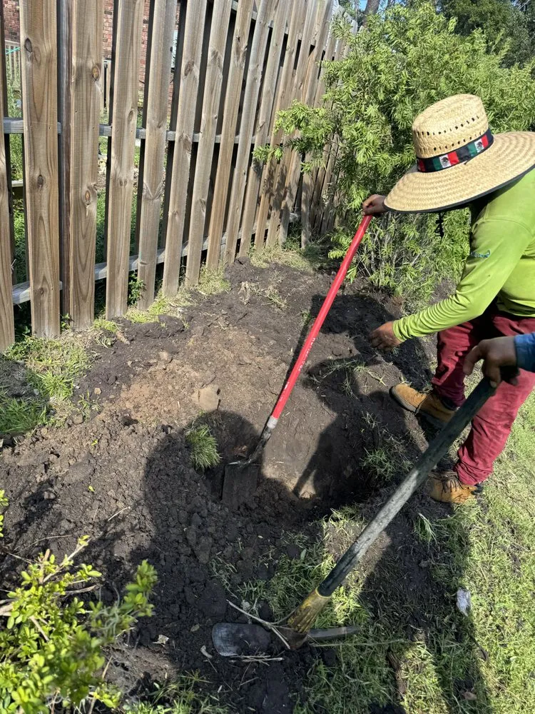 Top-rated lawn care service in Savannah, GA by G Tree Service N Landscaping