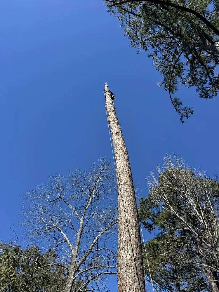 Affordable garden landscaping in Savannah, GA - G Tree Service N Landscaping