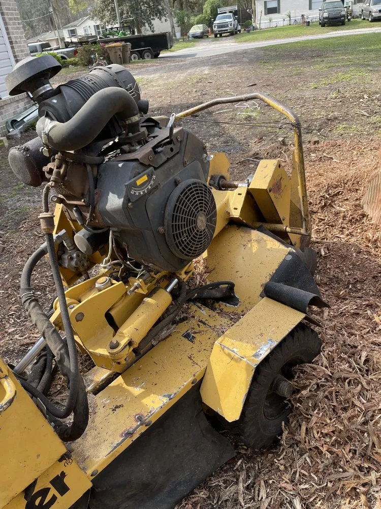 Local landscape installation experts serving Savannah, GA - G Tree Service N Landscaping