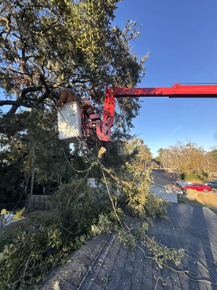 Affordable lawn care service experts serving Savannah, GA - G Tree Service N Landscaping