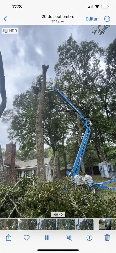 Affordable outdoor landscaping in Savannah, GA - G Tree Service N Landscaping