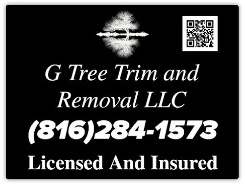 Affordable outdoor landscaping in Leavenworth, KS - G Tree Trim And Removal