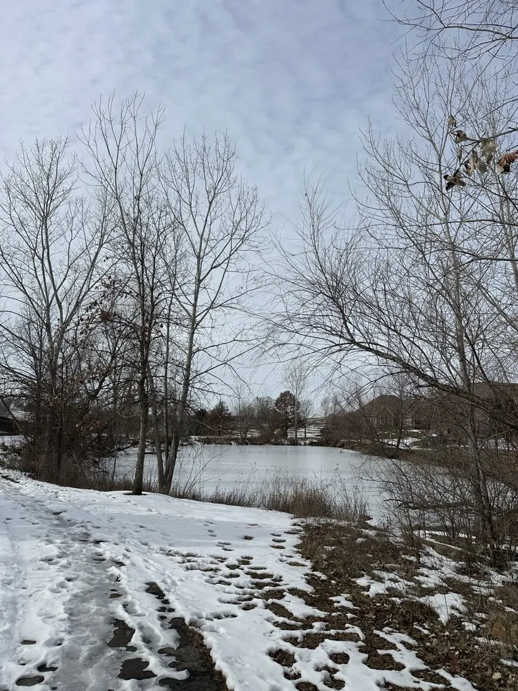 Expert outdoor landscaping for residential properties across Leavenworth, KS - G Tree Trim And Removal